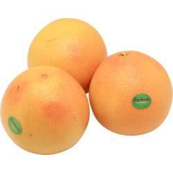 GRAPEFRUIT ROUGE GROSBUSCH 20PCS